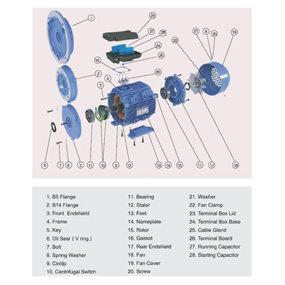 2.2kW 3HP 2800RPM Reversible Electric Motor 240V 24mm Shaft Hoists Winches CSCR