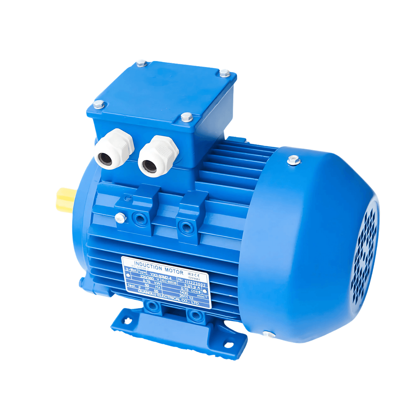 7.5kW 10HP 2800RPM 3-Phase Induction Motor