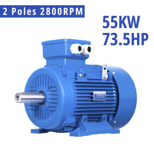 55kW 2-Pole 3-Phase Induction Motor – 73.5HP 2800RPM 55mm Shaft
