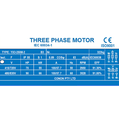 55kW 2-Pole 3-Phase Induction Motor – 73.5HP 2800RPM 55mm Shaft