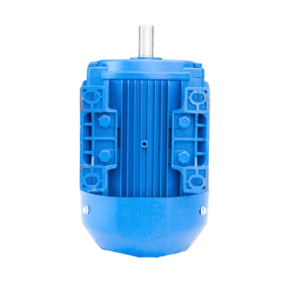 7.5kW 10HP 2800RPM 3-Phase Induction Motor